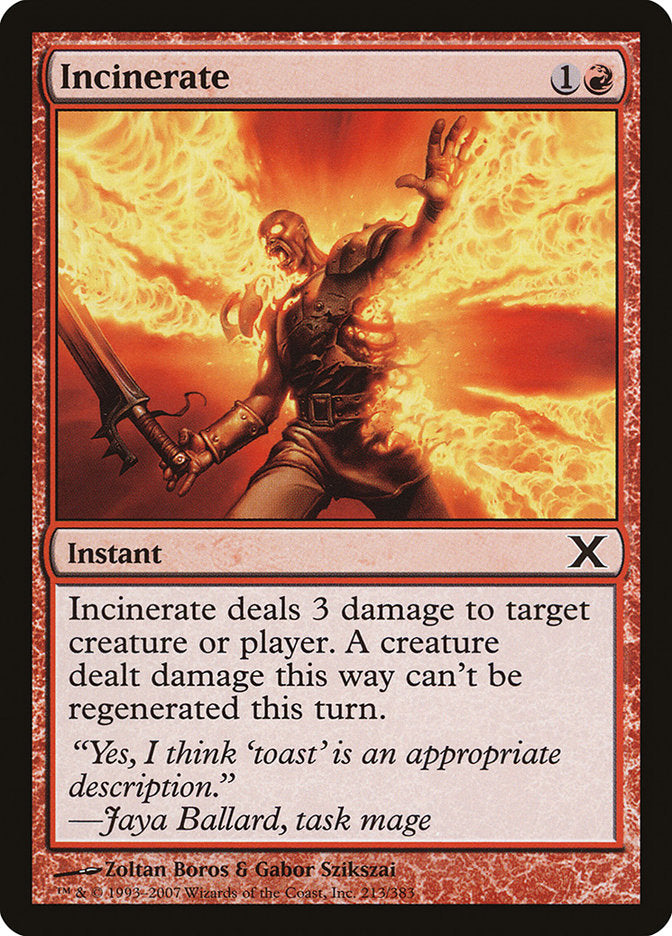 Incinerate [Tenth Edition] - Devastation Store | Devastation Store