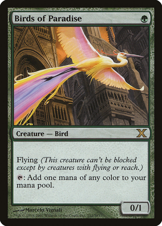 Birds of Paradise [Tenth Edition] - Devastation Store | Devastation Store