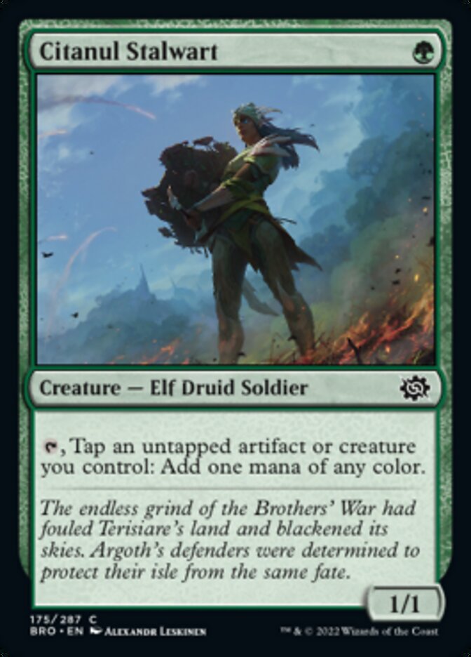 Citanul Stalwart [The Brothers' War] | Devastation Store