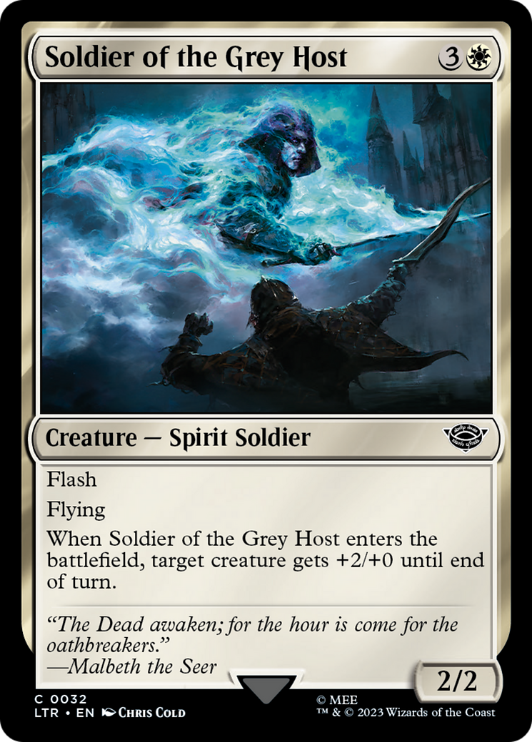 Soldier of the Grey Host [The Lord of the Rings: Tales of Middle-Earth] | Devastation Store