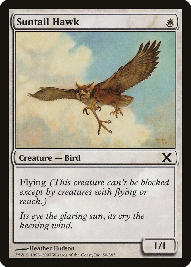 Suntail Hawk [Tenth Edition] | Devastation Store