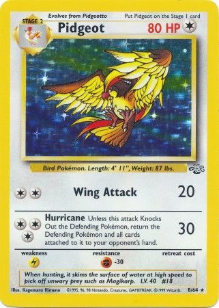 Pidgeot (8/64) [Jungle Unlimited] | Devastation Store