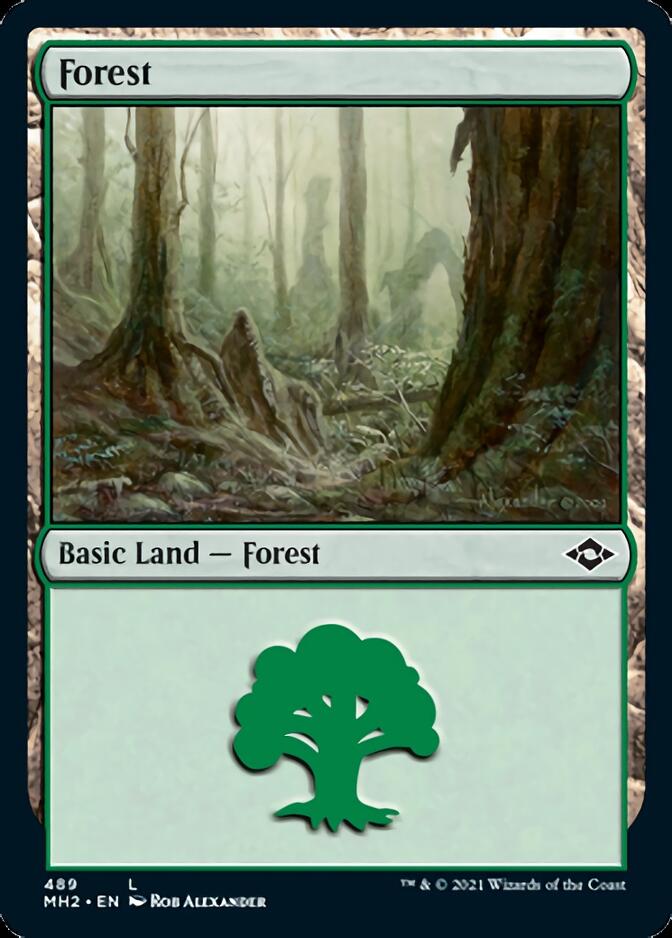 Forest (489) (Foil Etched) [Modern Horizons 2] | Devastation Store