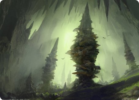 Forest (280) Art Card [Dungeons & Dragons: Adventures in the Forgotten Realms Art Series] | Devastation Store